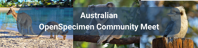 Web Banner-2